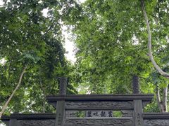 -杭州黄龙洞