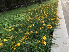 -元大都城垣遗址公园