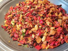 -向川南·水煮鱼·川菜(和平里店)