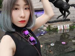 -上海安亭别墅花园酒店