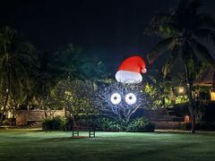 -白云中餐厅·粤菜·亚龙湾喜来登度假酒店