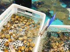 水产区-盒马鲜生(宝地店)