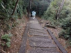 -玉苍山国家森林公园