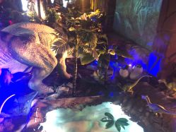 -恐龙探索乐园(磁器口店)