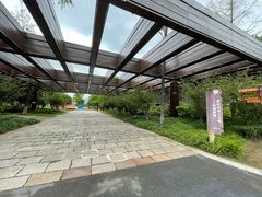 -长田漾湿地公园