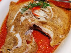 清蒸多宝鱼-香浙汇(望京店)