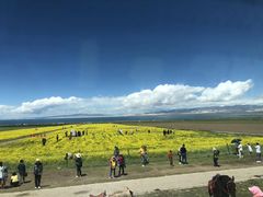 -青海湖国家重点风景名胜区