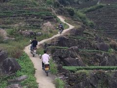 -文雅轩茶叶(锦和越界田林坊店)