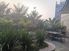 -马家斑.鲜鱼火锅(松湖万科店)