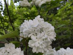 -洛阳市隋唐城遗址植物园