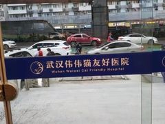 -伟伟宠物医院·瑞派猫友好医院·猫科(光谷店)