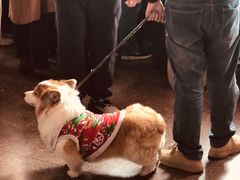 -文峰大世界(南大街店)