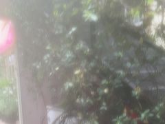 -宅里香.自然餐厅(湘大店)