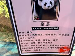 -泉州海丝野生动物世界
