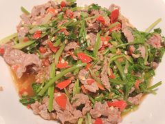 -壹盏灯(惠农店)