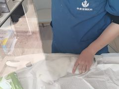 -申普宠物医院·眼科·心内科·影像科(普陀分院)