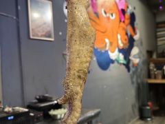 招牌烤鲜三黄鸡翅-质烤烤物·活烤海鲜(质烤总店)