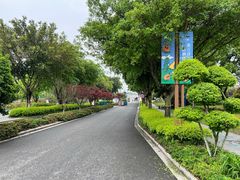 -三垟湿地