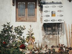 -东梓关景区村庄