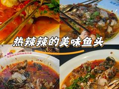 -坛宗剁椒鱼头(河西王府井店)