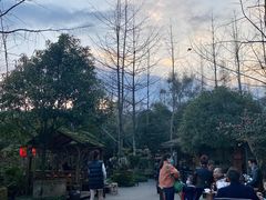 -青城甲(青城山店)