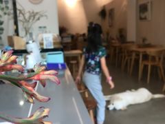 -尤加利咖啡馆