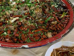 -东吴霸王兔(松青路店)