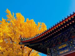 -香山公园