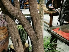 -尽善百年古院餐厅(王家老宅店)