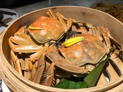 -绿茶餐厅(成都大悦城店)