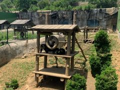 -大连森林动物园