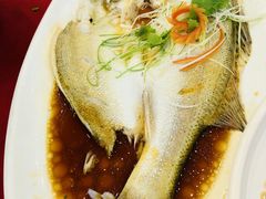 -侬佳蒸菜馆(听潮店)