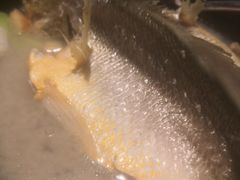 百秒黄花鱼-莆田餐厅PUTIEN(深圳湾万象城家宴店)