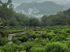 -广州莲花山旅游区