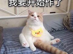 -万达影城(锦华万达广场IMAX店)