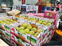 -上海龙吴水胜海发市场