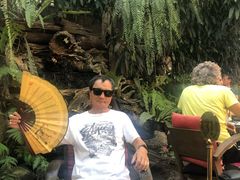 -Fern Forest Cafe