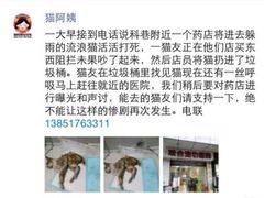 盛京一禾-盛京一禾