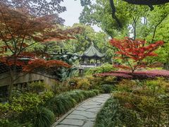 -申粤轩酒楼·三十年粤菜经典(丁香花园店)