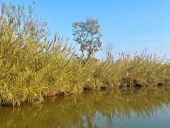 -泗洪洪泽湖湿地景区