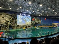 -威海华夏城景区