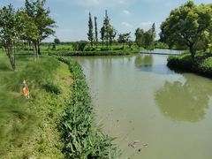 -嘉北郊野公园