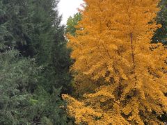 -朝阳公园游乐园