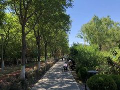 -大兴滨河森林公园