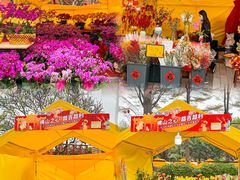 -文华公园(禅城区)