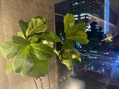 -园里火锅(仁和新城店)