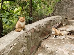 -北京十三陵国家森林公园蟒山景区