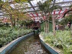 -南宫五洲植物乐园