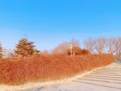 -河北省园博园