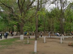 -长白岛森林公园